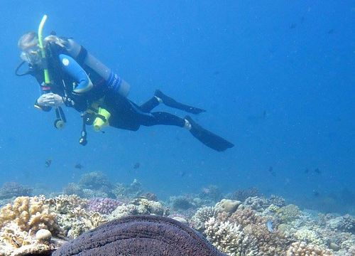 PADI Open Water Diver Course from Soma Bay