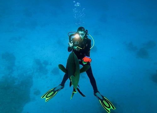 PADI Open Water Diver Course from Sahl Hasheesh