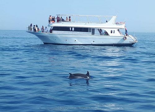 Excursie privată cu barca cu snorkeling și înot cu delfinii în Hurghada 