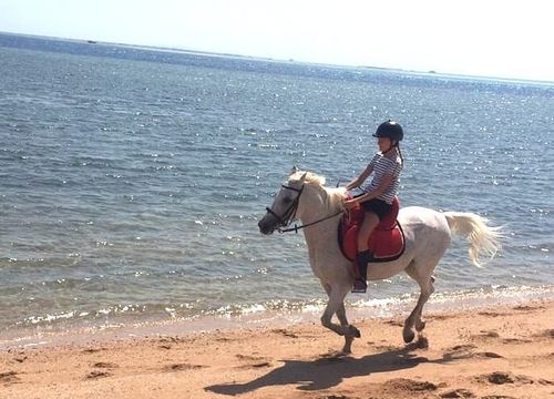 Horseback Riding Sahl Hasheesh - Private Sea and Desert Rides