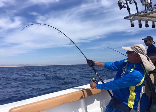 Fishing Trip from Safaga: Private Fishing Charter - Full Day Boat Trip