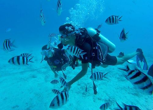PADI Open Water Diver Course from Safaga