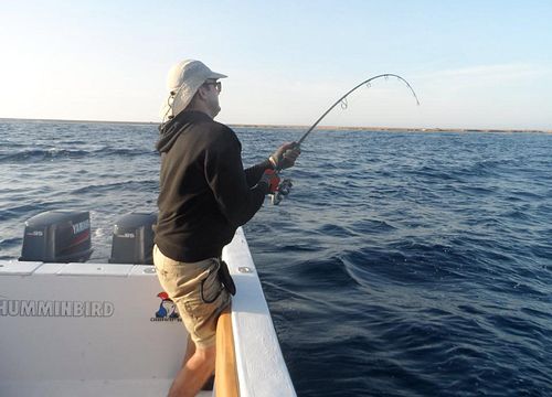 Private Fishing Boat Trip from Hurghada