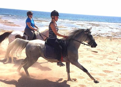 Two-Hour Guided Horseback Riding in Hurghada
