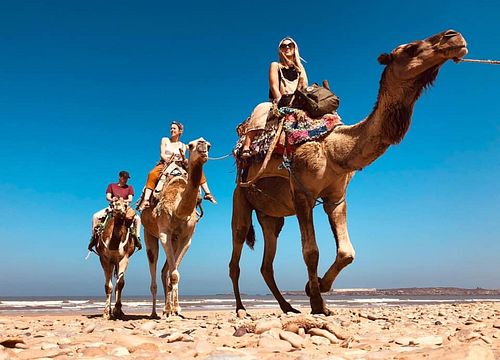 Camel Ride from Soma Bay: Private Sea and Desert Trips