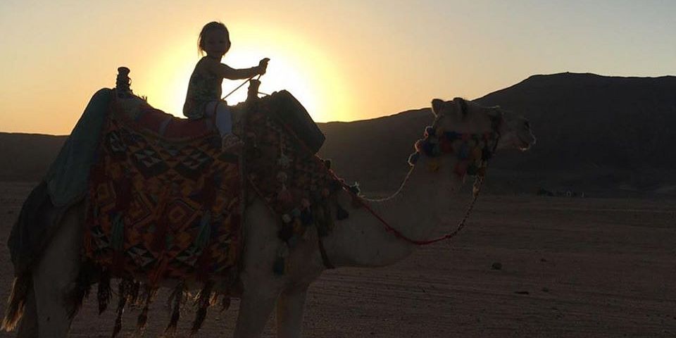 Camel Ride in Soma Bay » Private Sea and Desert Trips
