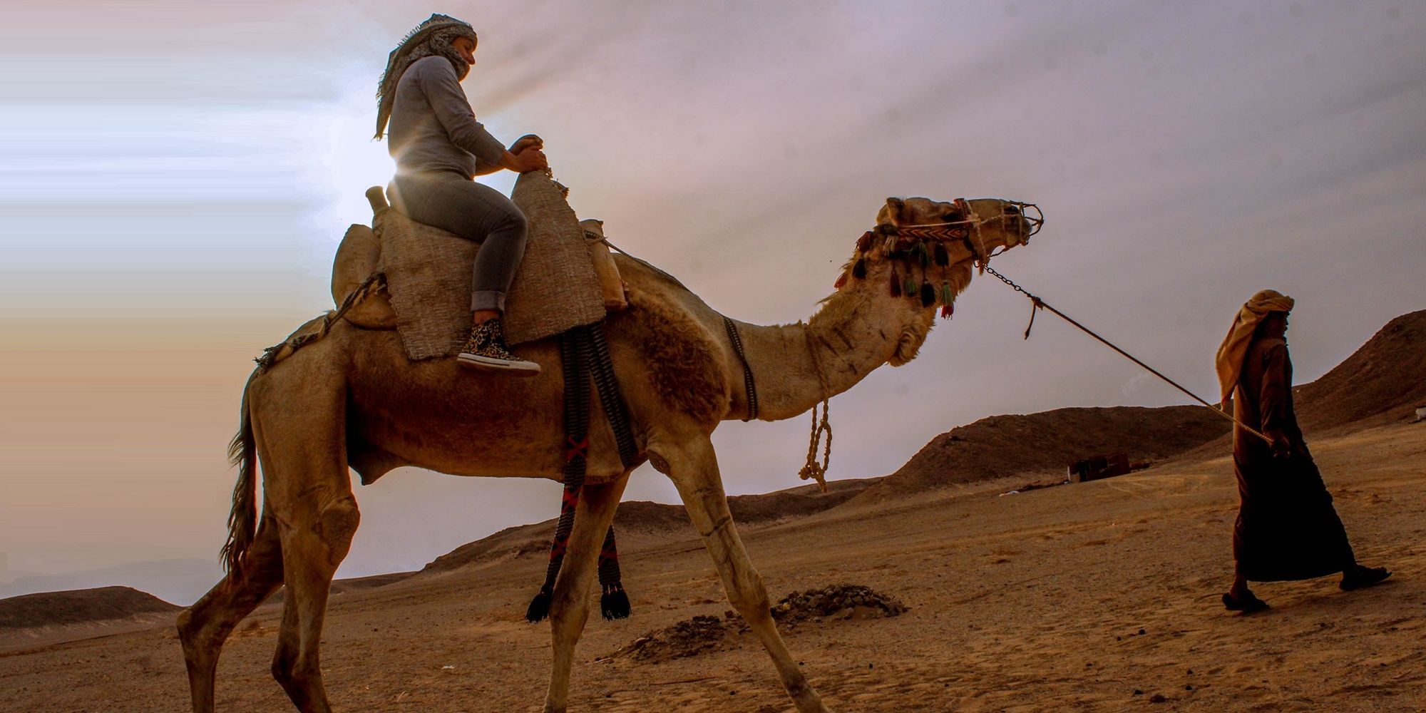 Camel Ride in Soma Bay » Private Sea and Desert Trips