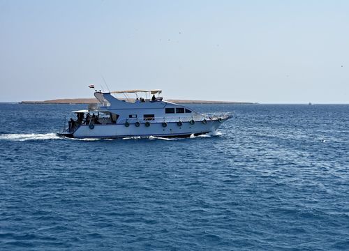 Private Snorkeling Boat Trip & Swimming with Dolphins from Soma Bay