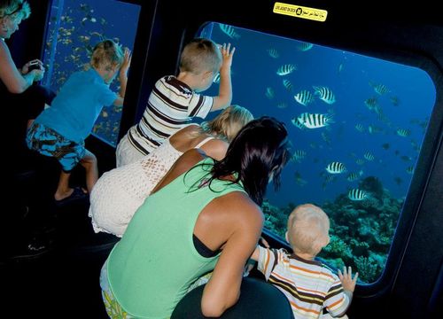 Glass Bottom Boat Tour from El Gouna