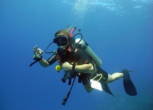 Pachete zilnice de scufundări și scufundări în Hurghada 