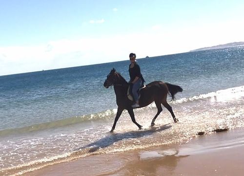 Jízda na koni ze zátoky Makadi - Projížďky soukromým mořem a pouští 