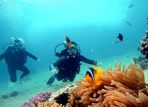 PADI Open Water Diver Course in Marsa Alam