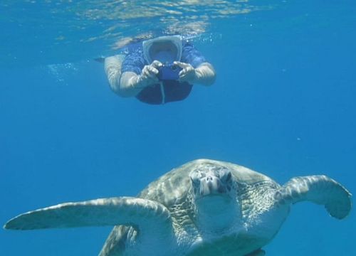 Visos dienos snorkeling kelionė ir plaukimas su vėžliais ir Dugongs iš Soma įlankos 