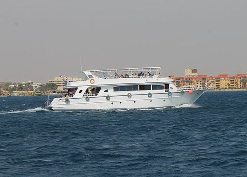 Excursie privată cu barca cu snorkeling și înot cu delfinii de la Safaga 
