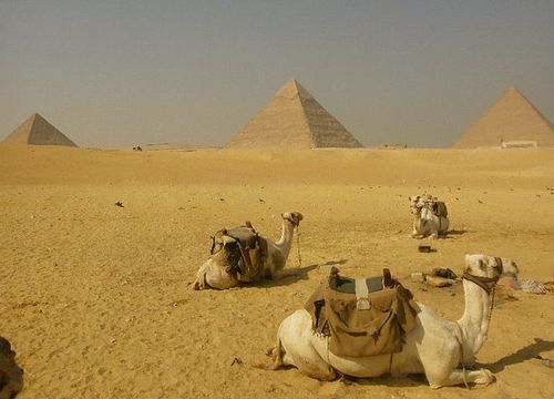 2 Day Tour to Cairo and Alexandria from Hurghada 