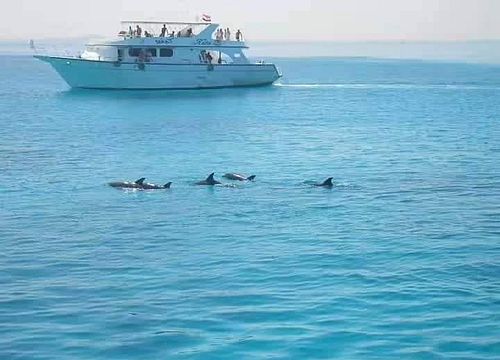 Private Snorkeling Boat Trip & Swimming with Dolphins from Makadi Bay