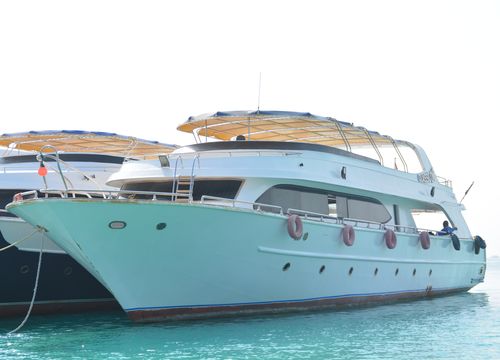 Private Snorkeling Boat Trip & Swimming with Dolphins from Sahl Hasheesh