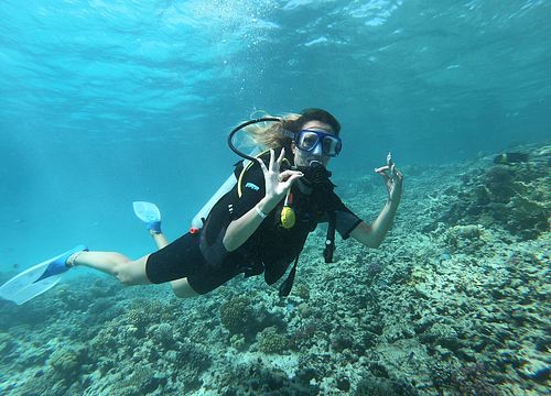 Intro Diving Marsa Alam: Discover Scuba Diving & Introductory Dive