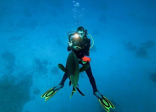 PADI atviro vandens nardymo kursas iš Sahl Hasheesh 