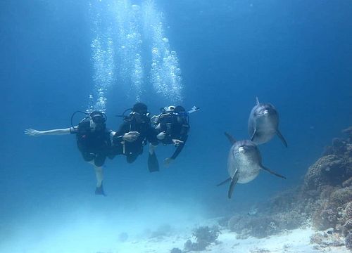 Introducere Diving El Gouna: Descoperiți scufundări și scufundări introductive 