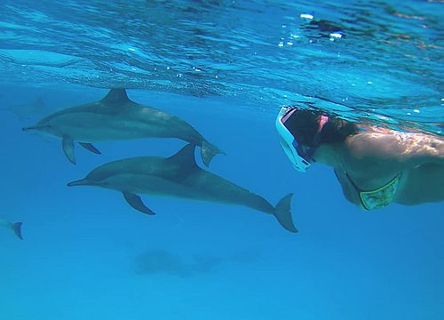 Naktinė snorkeling kelionė Sataya delfinų rifu iš Marsa Alam 