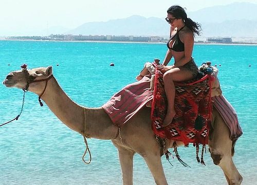 Camel Ride from Makadi Bay: Private Sea and Desert Trips