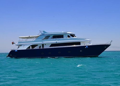 VIP kelionė laivu iš El Gounos: privati kelionė į salą ir nuotykis su nardymu 