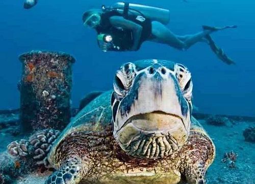 Curs PADI Open Water Diver de la El Gouna 