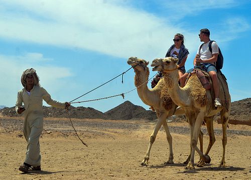 Plimbare cu cămila în Hurghada: Excursii private pe mare și deșert 