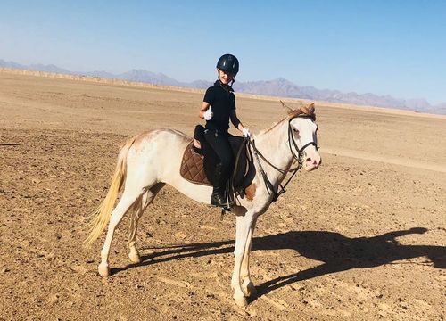 Horseback Riding from El Gouna - Private Sea and Desert Rides