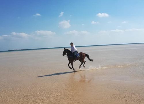 Jodinėjimas žirgais Hurgadoje - pasivažinėjimas privačia jūra ir dykuma 