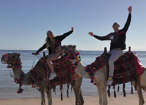 2 Hour Camel Ride in Hurghada