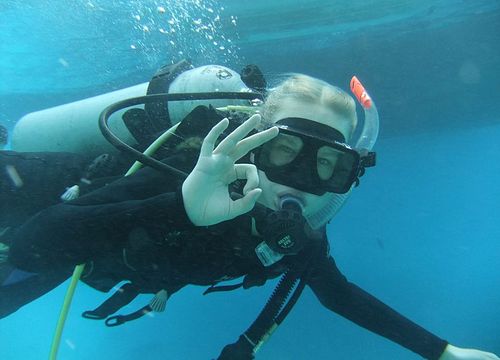 Pachete zilnice de scufundări și scufundări din Golful Makadi 