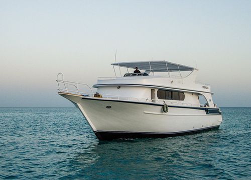 VIP kelionė laivu iš Hurgados: Privati kelionė į salą ir nardymas su nuotykiais 