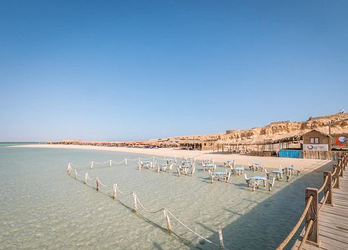 Oranžinės įlankos salos visos dienos snorkelingo kelionė iš Sahlo Hasheesho 