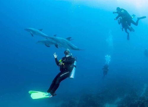 PADI atvirojo vandens nardymo kursai iš Makadi įlankos 