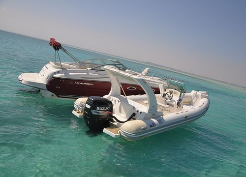 Barcă cu motor în Marsa Alam: excursie privată la Snorkel și înot cu delfinii 