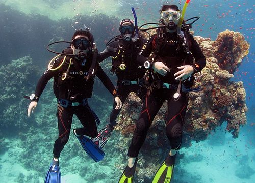 Daily Diving and Dive Packages from Safaga