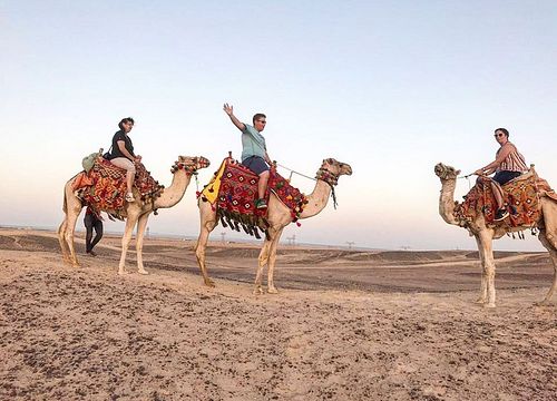 Plimbare cu cămila din Safaga: Excursii private pe mare și deșert 